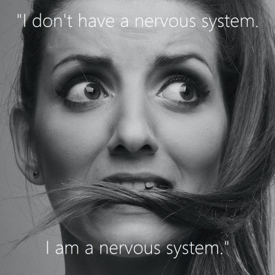 Social Anxiety - I don't have a nervous system. I am a nervous system.