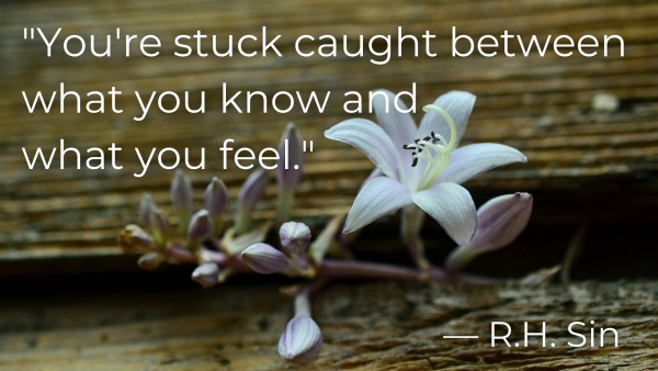 "You're stuck caught between what you know and what you feel."