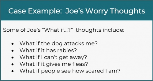 Cycle of Anxiety - Worries Case Example