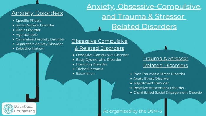 Organization of Anxiety Disorders