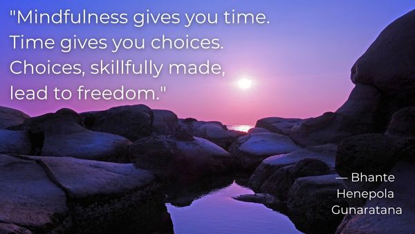 118.	“Mindfulness gives you time. Time gives you choices. Choices, skillfully made, lead to freedom.” — Bhante Henepola Gunaratana