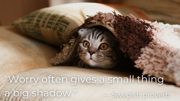 A small striped cat hiding under a blanket with the quote: "Worry often gives a small thing a big shadow." - Swedish proverb