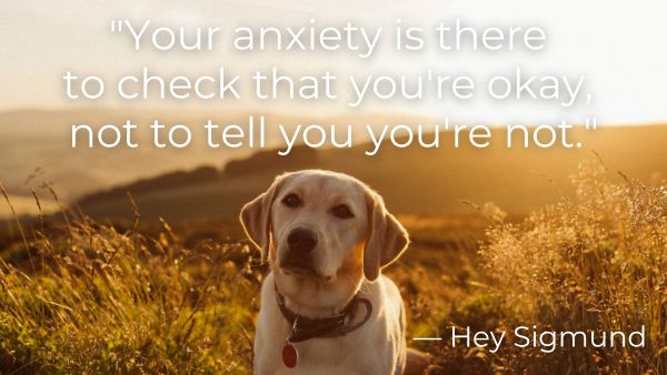 Golden lab looking at you with quote: “Your anxiety is there to check that you’re okay, not to tell you you’re not” — Hey Sigmund 