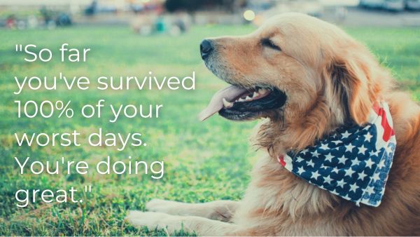 Golden retriever on grass with quote: "So far you've survived 100% of your worst days. You're doing great."