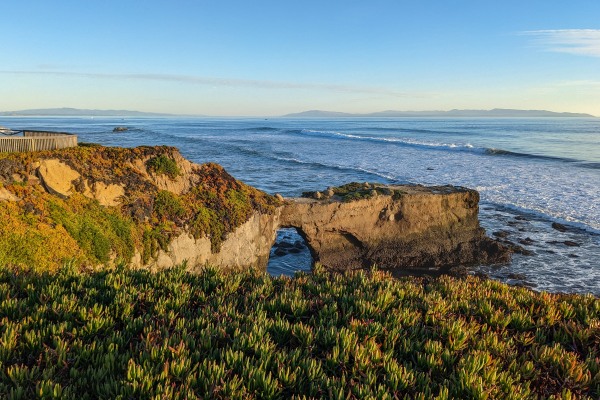 Dauntless Panic Counseling Sacramento - Image of ice plant lining a cliff in front of an ocean view with an archway of rock over the water