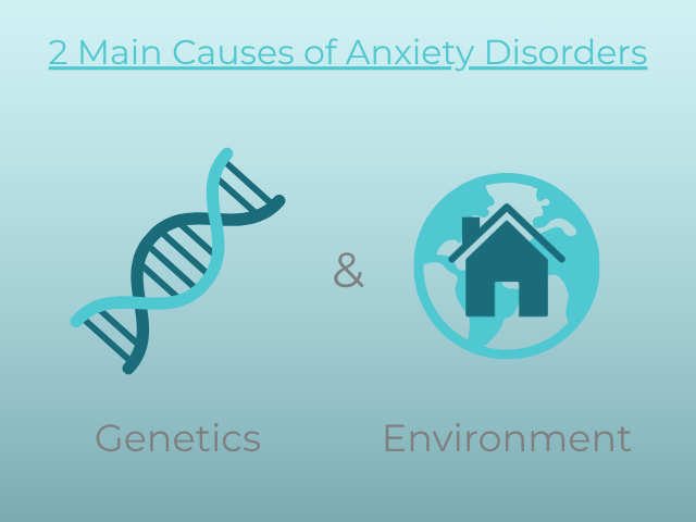 2 Main Causes of Anxiety Disorders: genetics & Environment